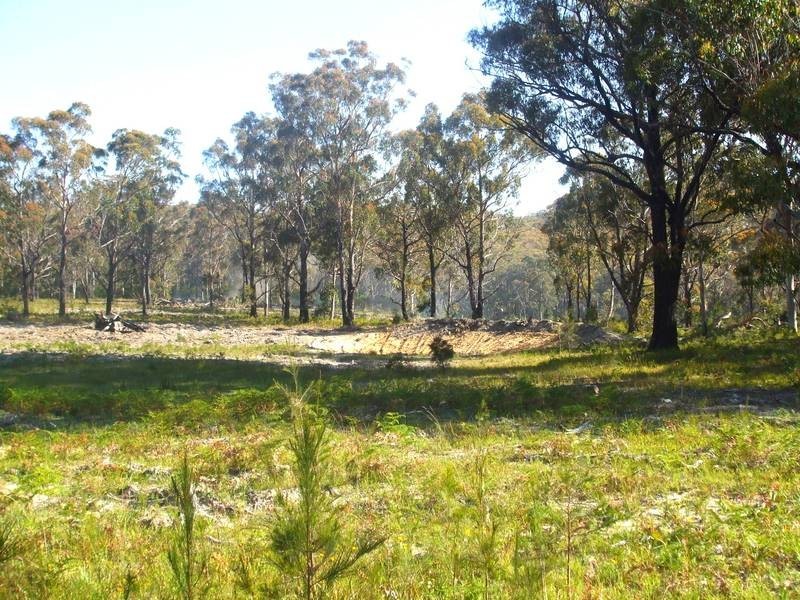 Tenterfield NSW 2372