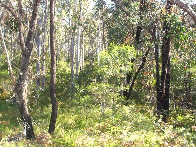 Tenterfield NSW 2372