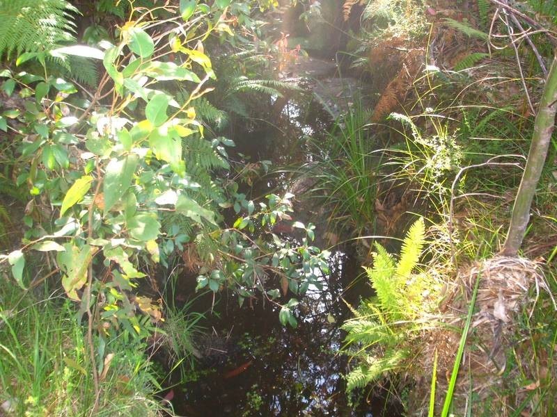 Tenterfield NSW 2372