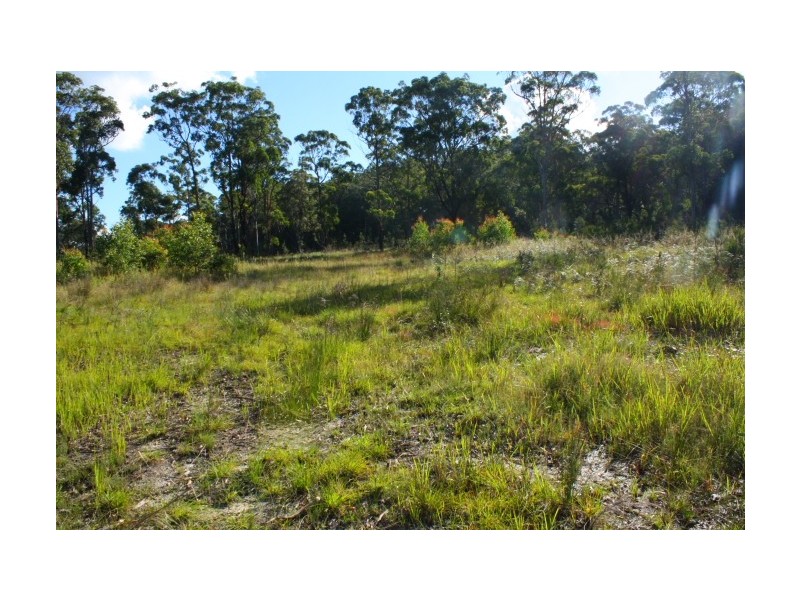 Tenterfield NSW 2372