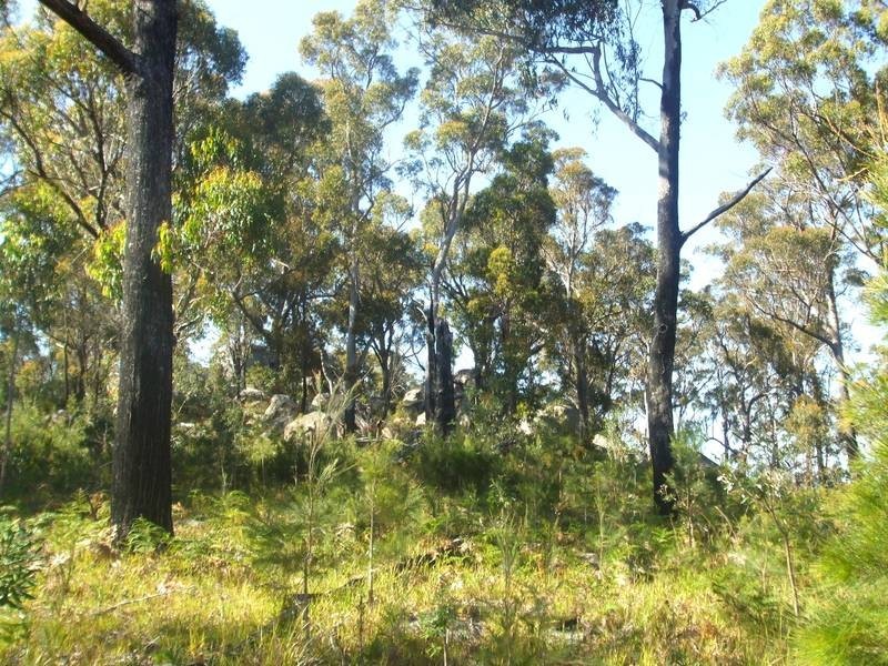 Tenterfield NSW 2372