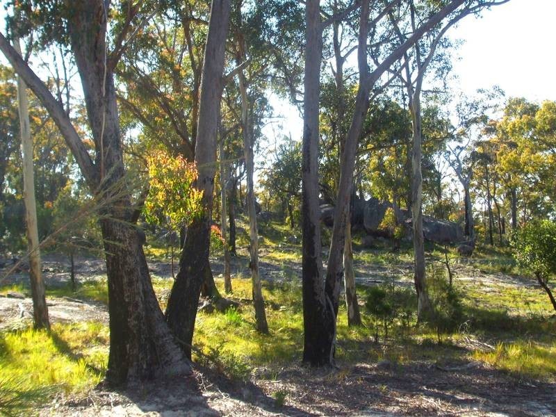 Tenterfield NSW 2372