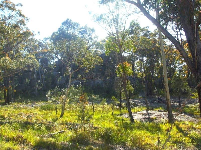 Tenterfield NSW 2372