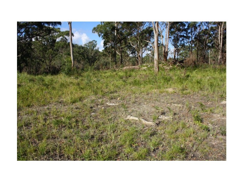 Tenterfield NSW 2372