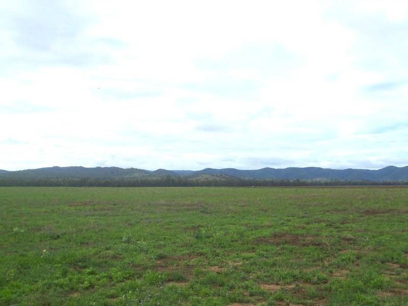 Tenterfield NSW 2372