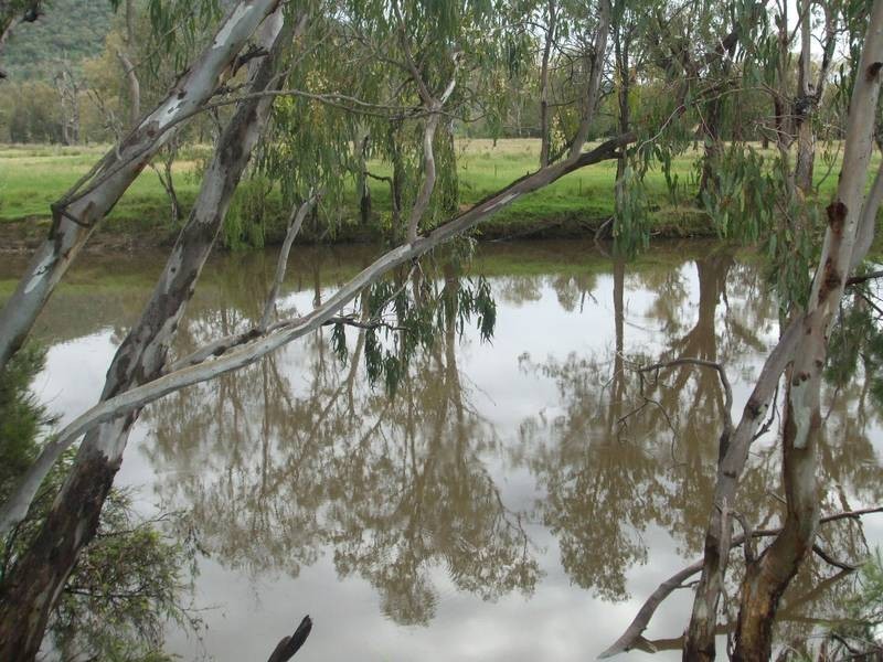 Tenterfield NSW 2372