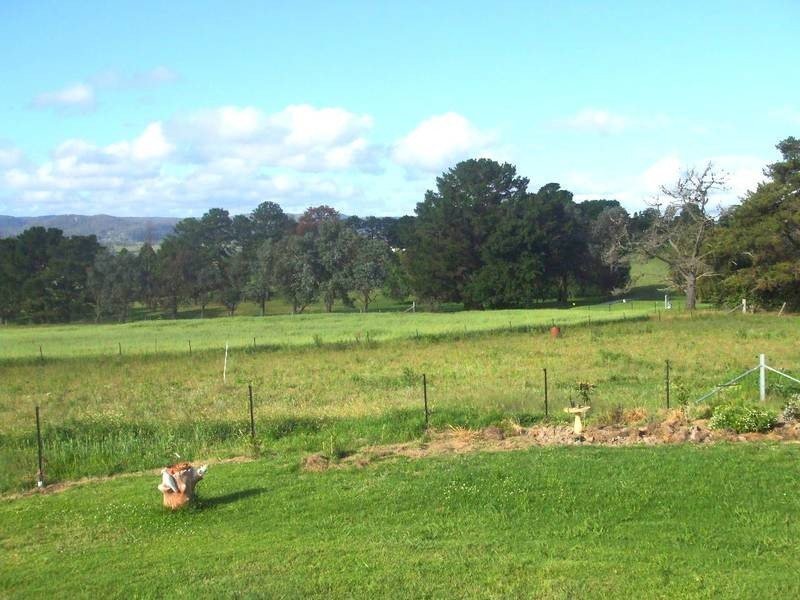 Tenterfield NSW 2372