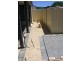A/62 Winton Street, Bunbury WA 6230
