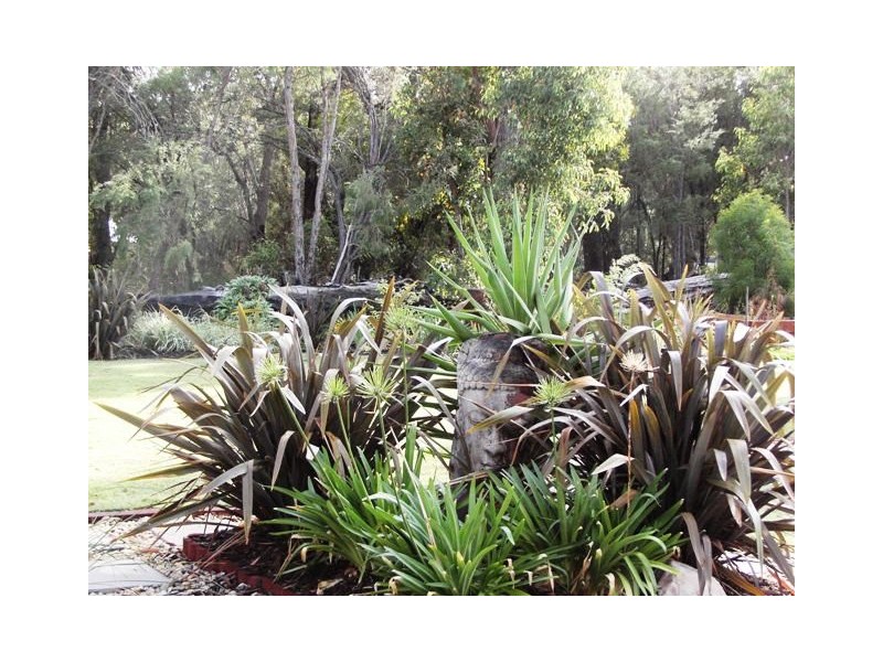 Leschenault WA 6233