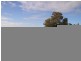 Australind WA 6233