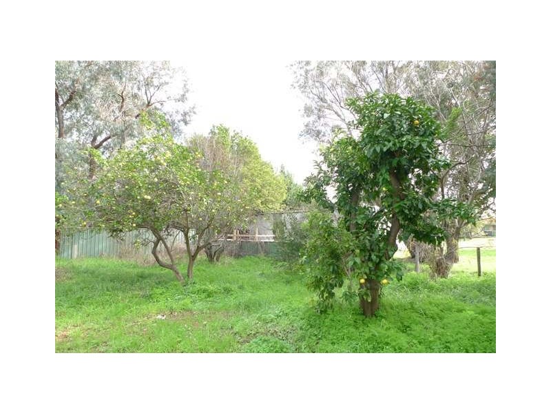 12 Buckby Road, Harvey WA 6220