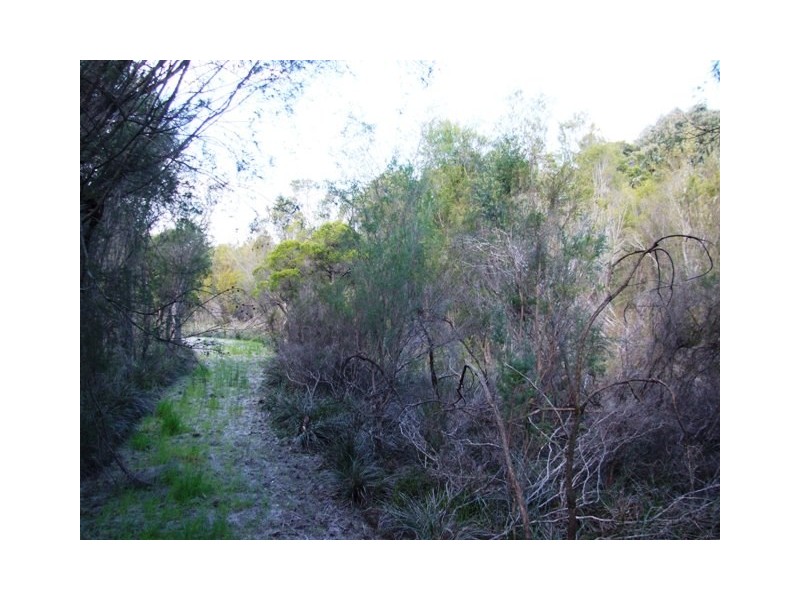 17 Coral Drive, Leschenault WA 6233