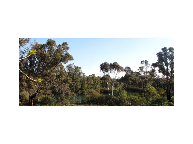 37 Wittenoom Street, Collie WA 6225