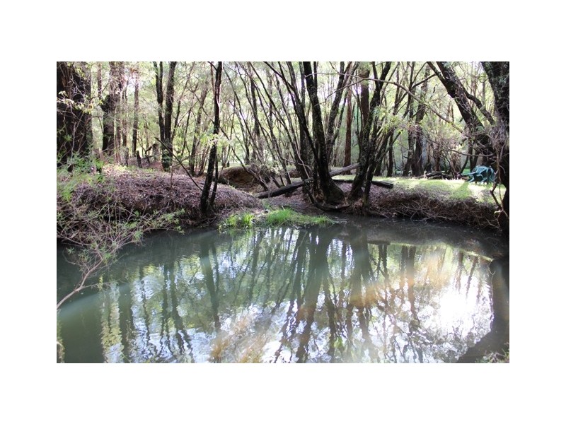 47 South Road, Wellington Mill WA 6236