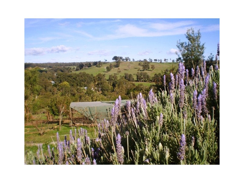 47 South Road, Wellington Mill WA 6236