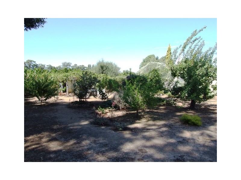 68 Third Street, Harvey WA 6220