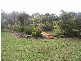 Leschenault WA 6233