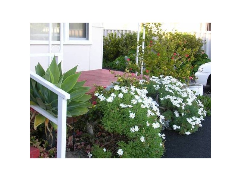 46 Carpenter Tce, Australind WA 6233