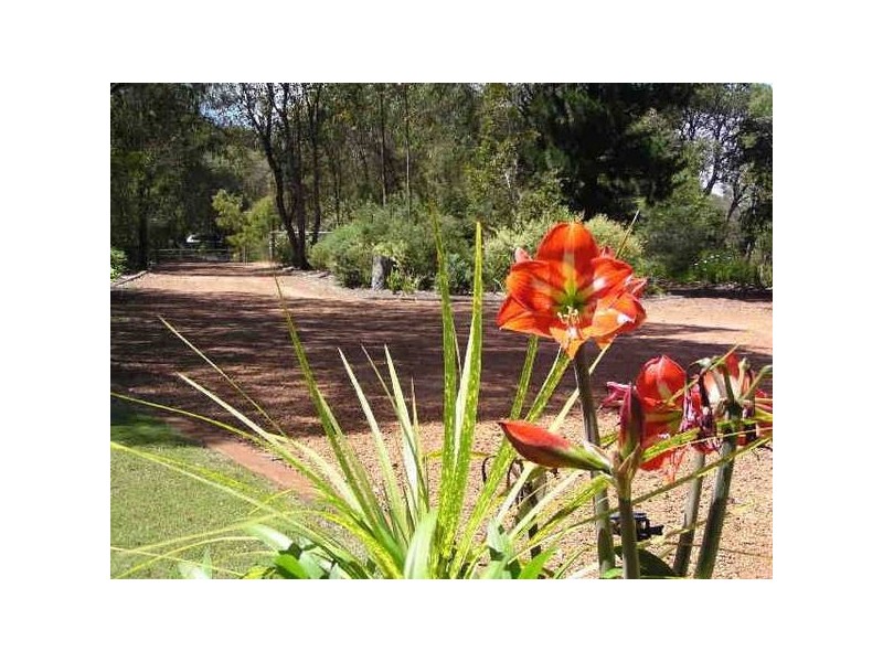 Leschenault WA 6233