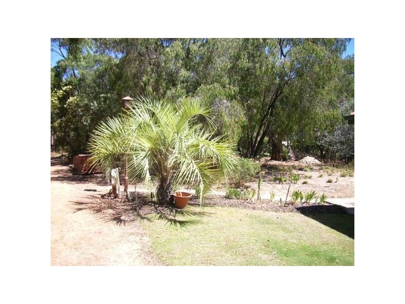Leschenault WA 6233
