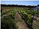 Dardanup West WA 6236