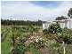 Dardanup West WA 6236