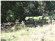 Millbridge WA 6232