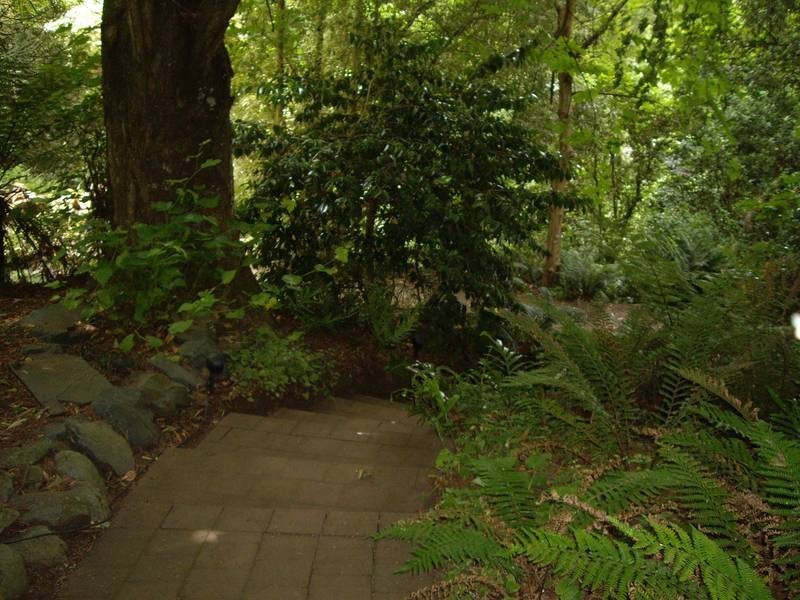 10 Belgrave Ferny Creek Road, Ferny Creek VIC 3786