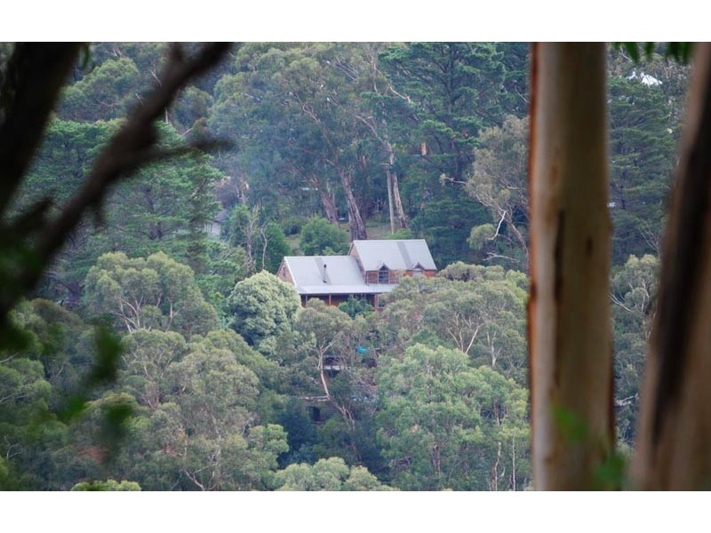 81 Temple Road, Selby VIC 3159