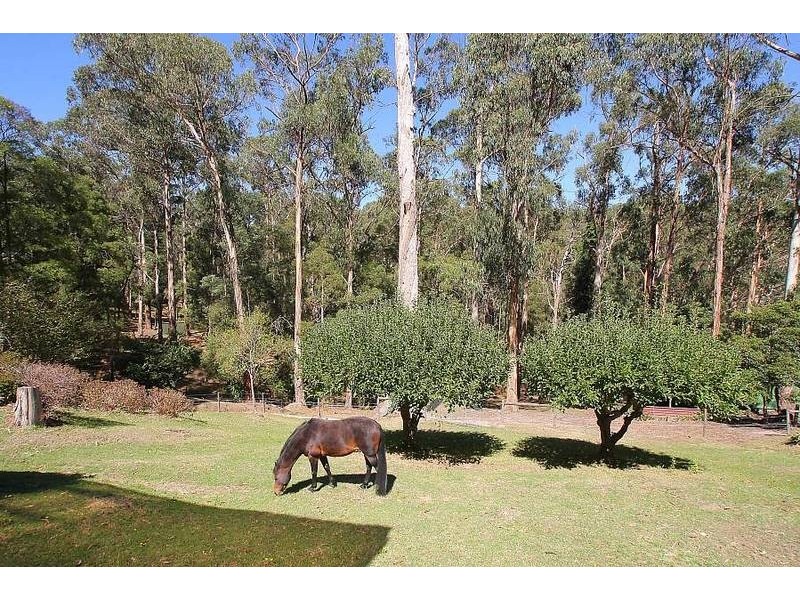 20 Byrne Street, Belgrave VIC 3160