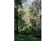 73 The Crescent, Sassafras VIC 3787