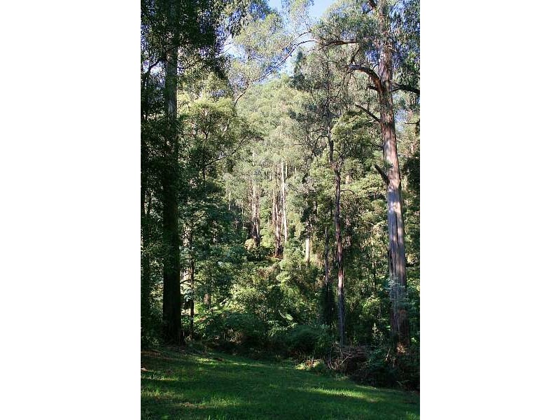 73 The Crescent, Sassafras VIC 3787