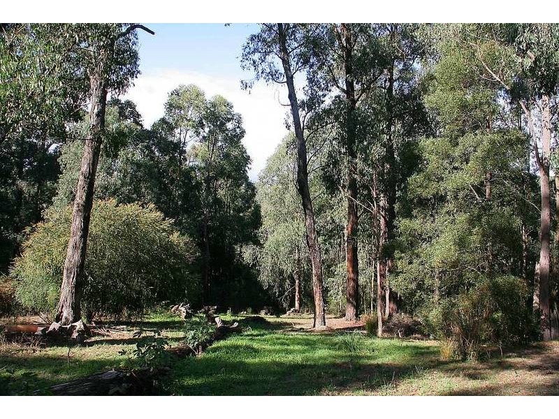 7 Colin Avenue, Cockatoo VIC 3781