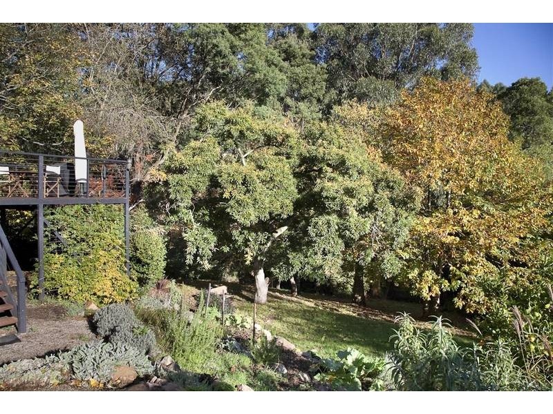 111 Monbulk Road, Kallista VIC 3791