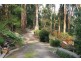 9 Grandview Grove, Menzies Creek VIC 3159
