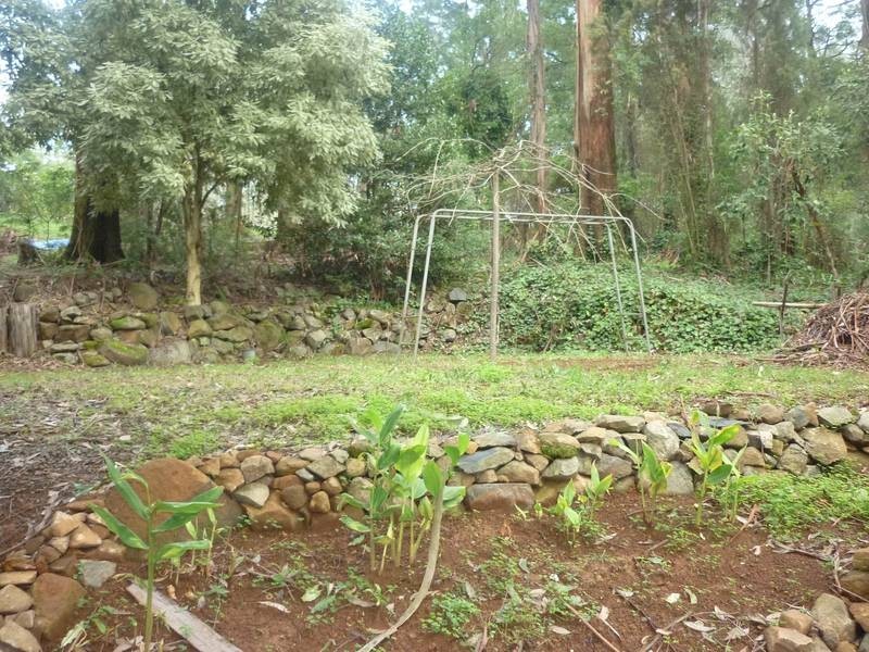 4 Warwick Road, Olinda VIC 3788