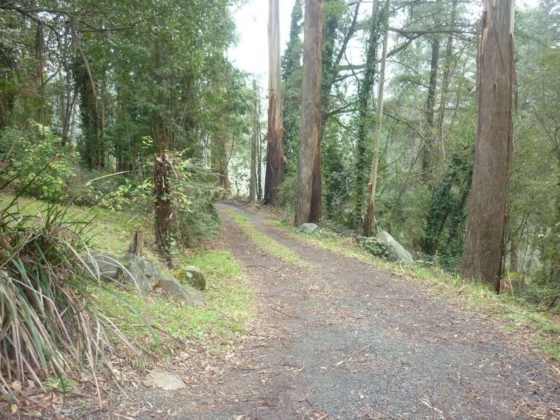 4 Warwick Road, Olinda VIC 3788