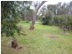 37 Courtneys Road, Belgrave South VIC 3160