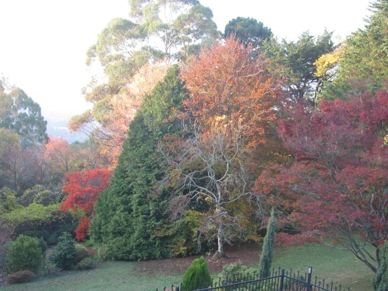 63 Grantulla Road, Kallista VIC 3791