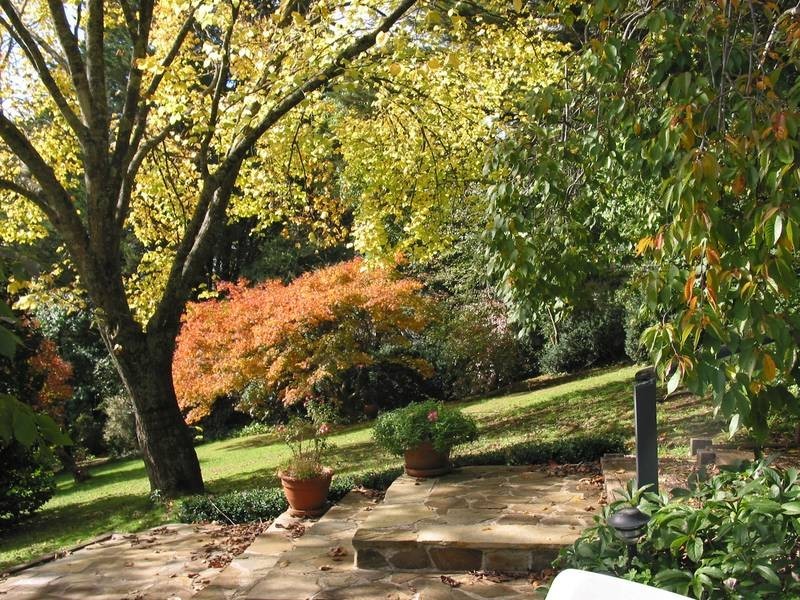 63 Grantulla Road, Kallista VIC 3791