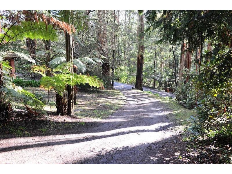 8 Colston Avenue, Sherbrooke VIC 3789