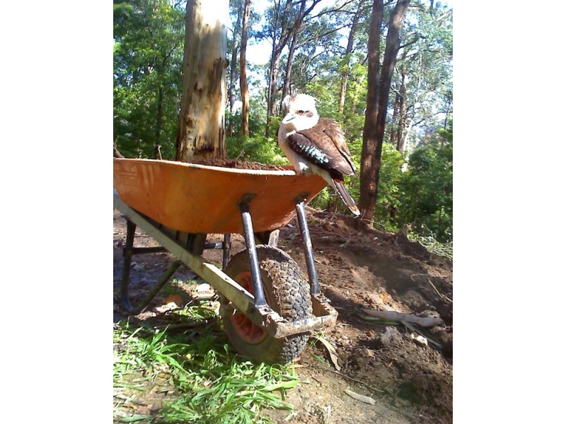 6 View Road, Tecoma VIC 3160