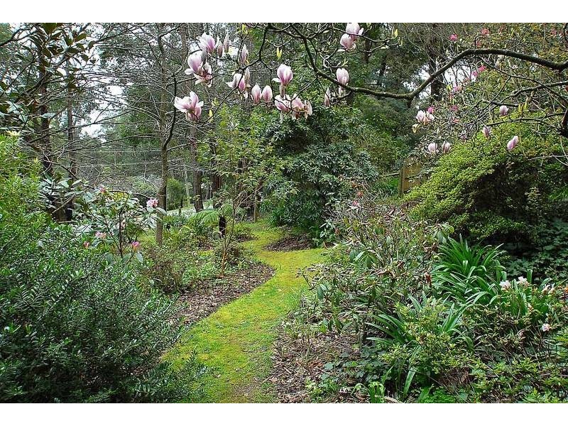 112 Emerald Monbulk Road, Emerald VIC 3782