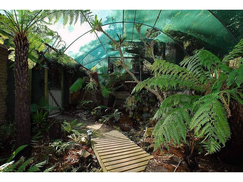 50 Ternes Road, Upwey VIC 3158