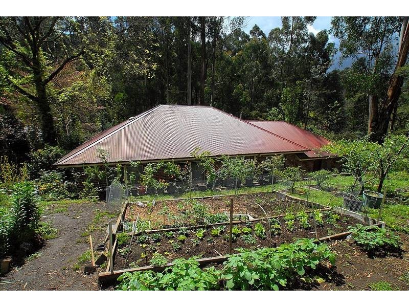 224 Monbulk Road, Kallista VIC 3791