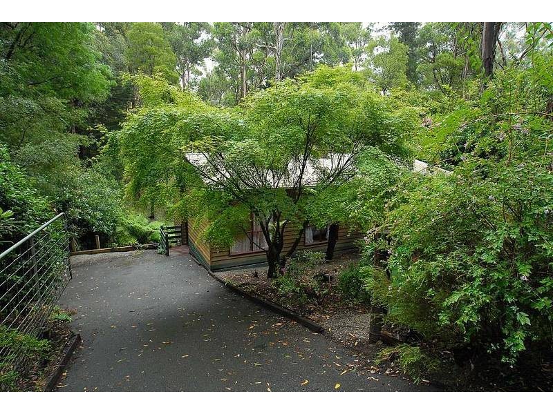 6 Wilga Avenue, Selby VIC 3159