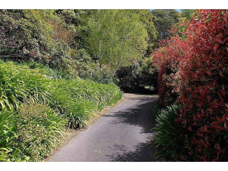 42 Kallista Emerald Road, The Patch VIC 3792