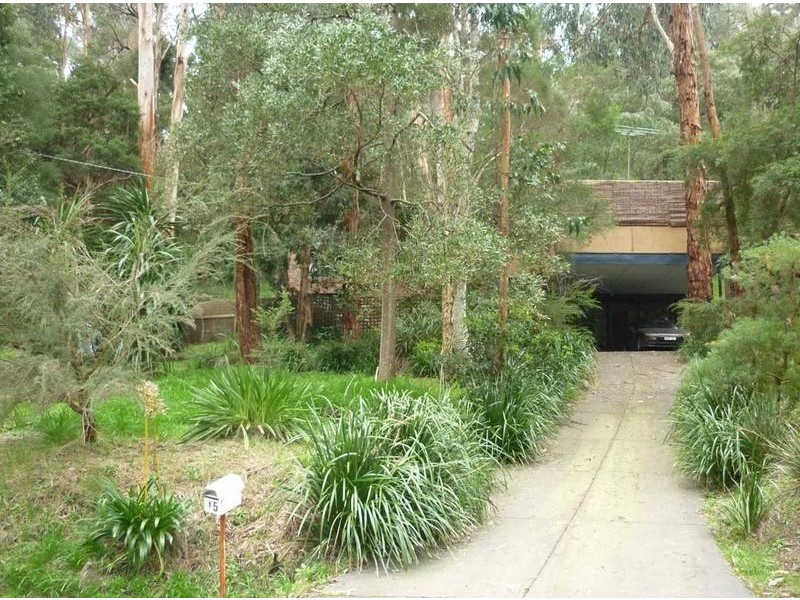 15 Maskell Street, Selby VIC 3159