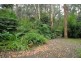 9 Wilga Avenue, Selby VIC 3159
