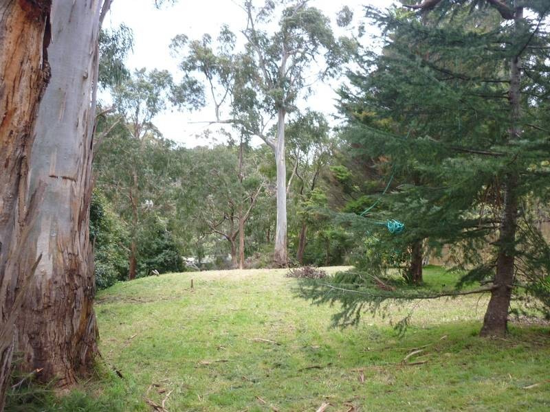 11 Fairydell Road, Tecoma VIC 3160